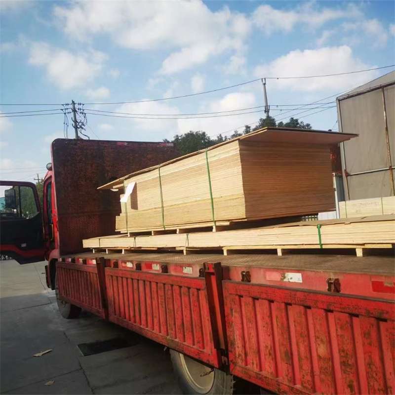 金平区桥西区物流专线的多元运输世界