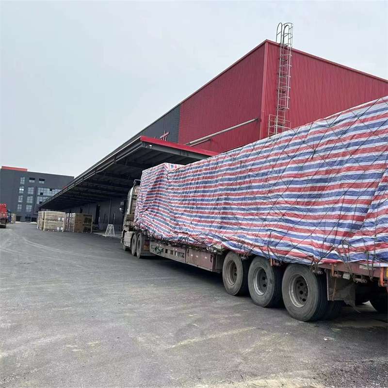 金平区渝中区物流：多元服务与运输线路探秘