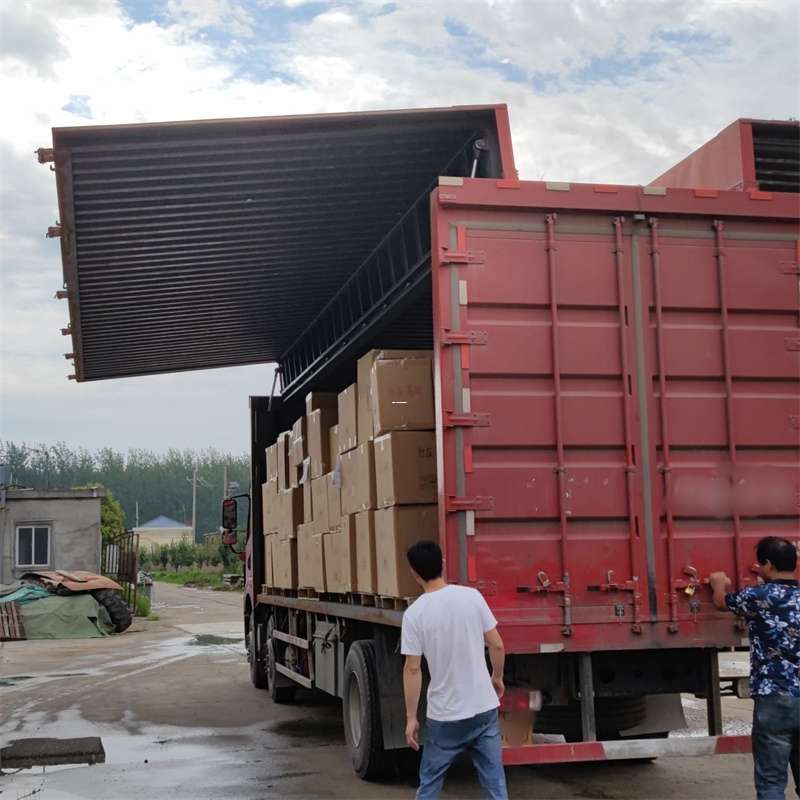 金平区扎囊县：物流专线的高效货运之旅